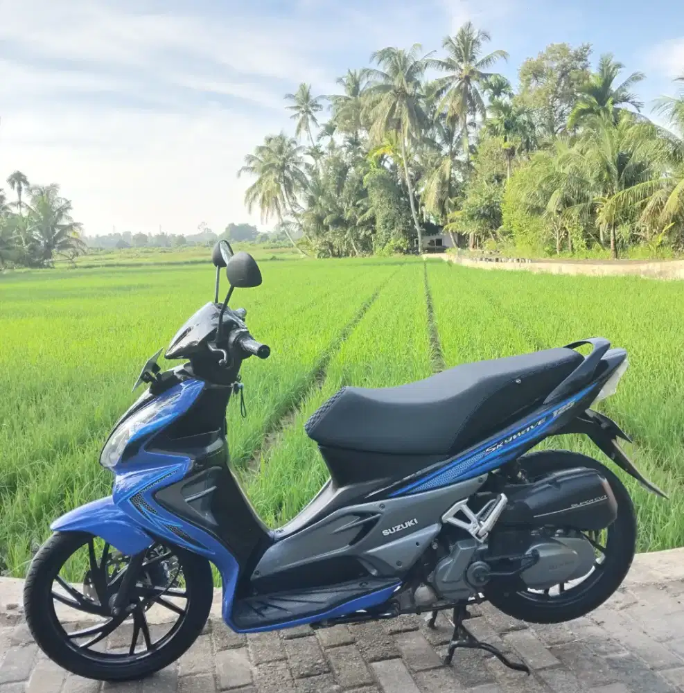 Suzuki Skywave 2009