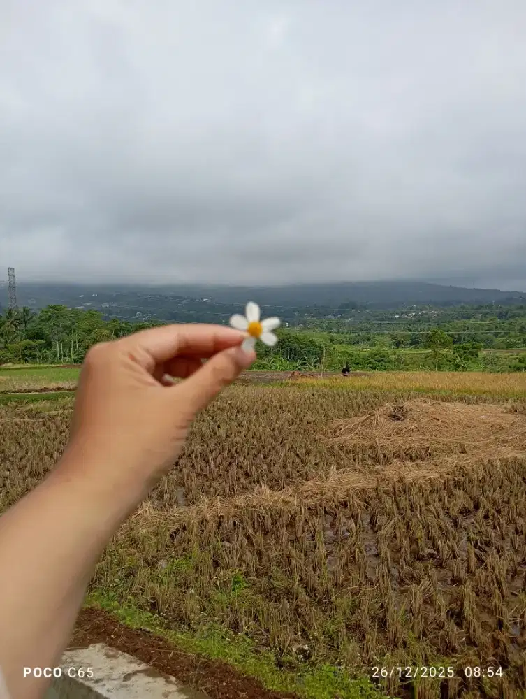 Dicari ART + Momong Menginap