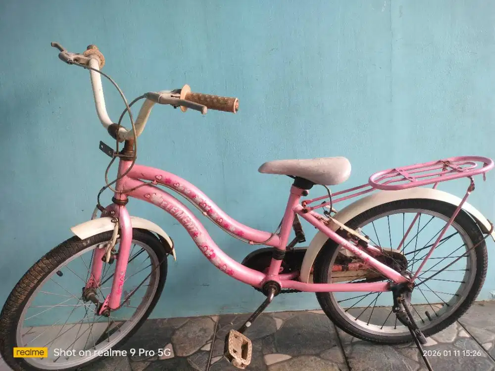 Sepeda Element 20 inch