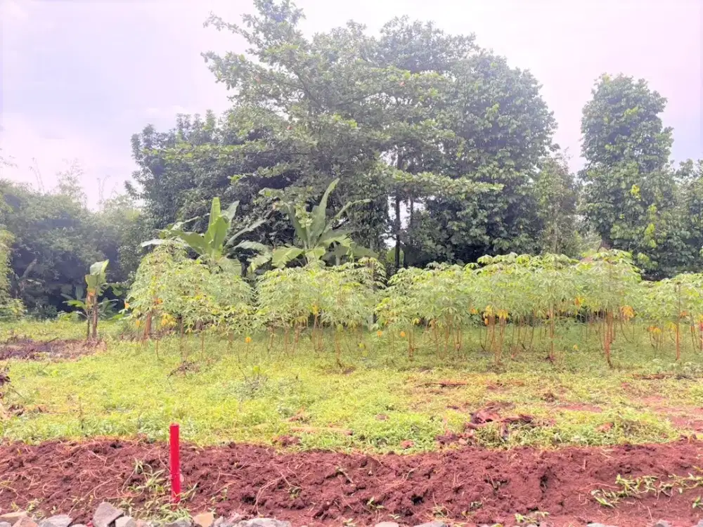 Tanah Kavling Row Jalan 5 Meter, Dekat Akses Jl. Raya Setu - Bekasi