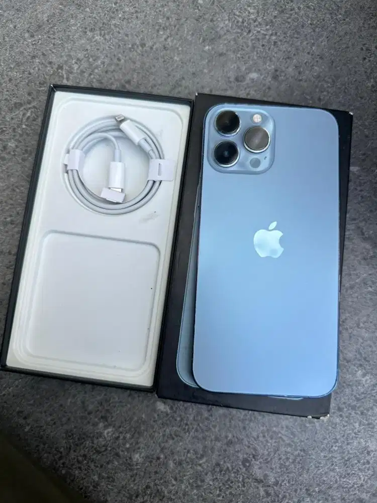 13 promax 256 Gb inter