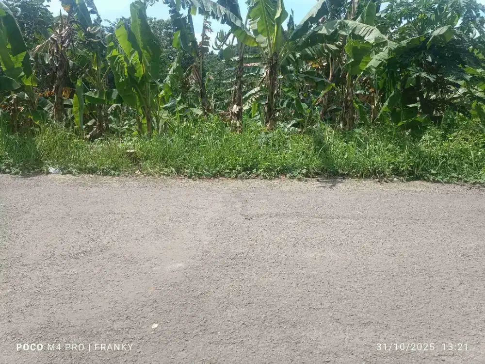 tanah di jalan raya sayar kota serang banten.
