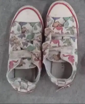 Preloved Sepatu Anak Converse Chuck Taylor All Star Low Motif Dinosaur