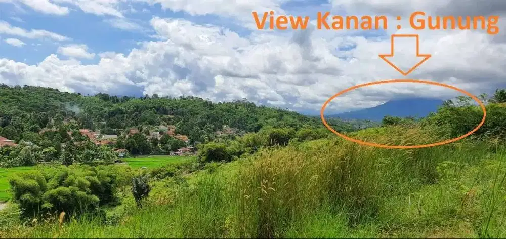 Jual Tanah Kebun Murah 2,3ha SHM (Tanah Kebon, Investasi) Parung Kuda