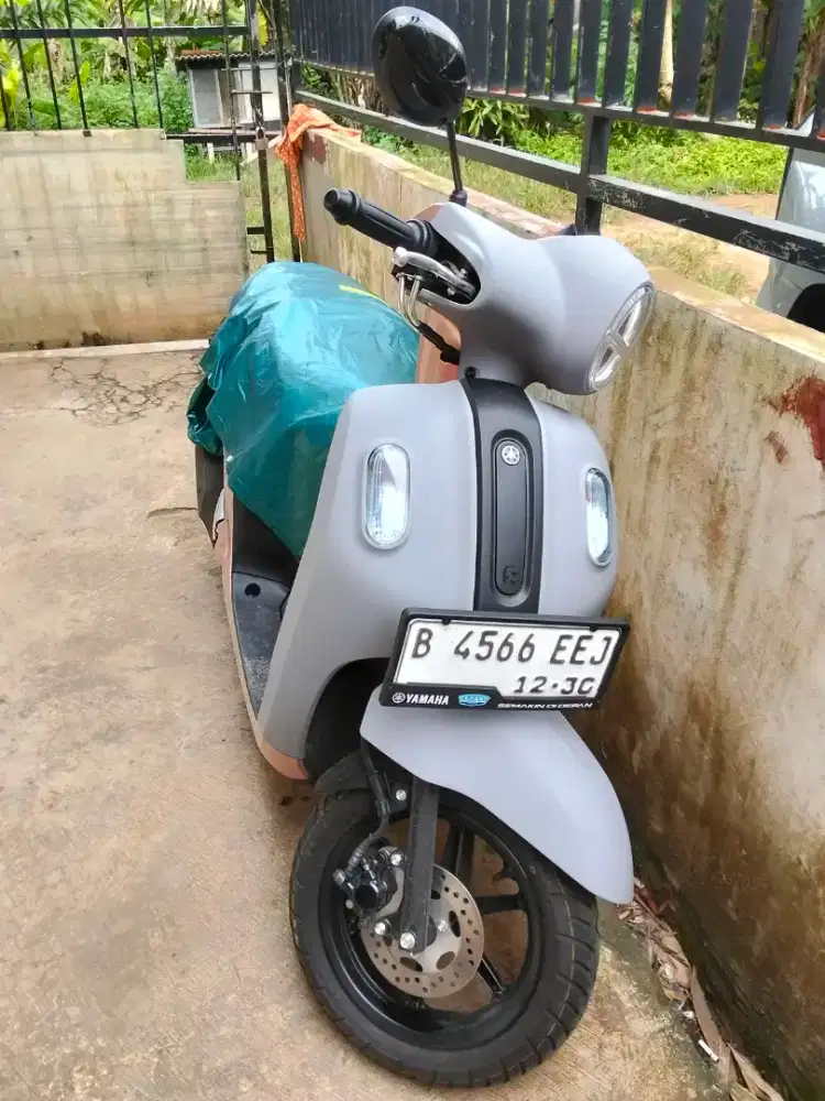 Fazzio hibrid Des 2025