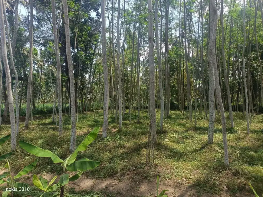 DIJUAL TANAH PEKARANGAN DATAR SIAP BANGUN KAB MALANG