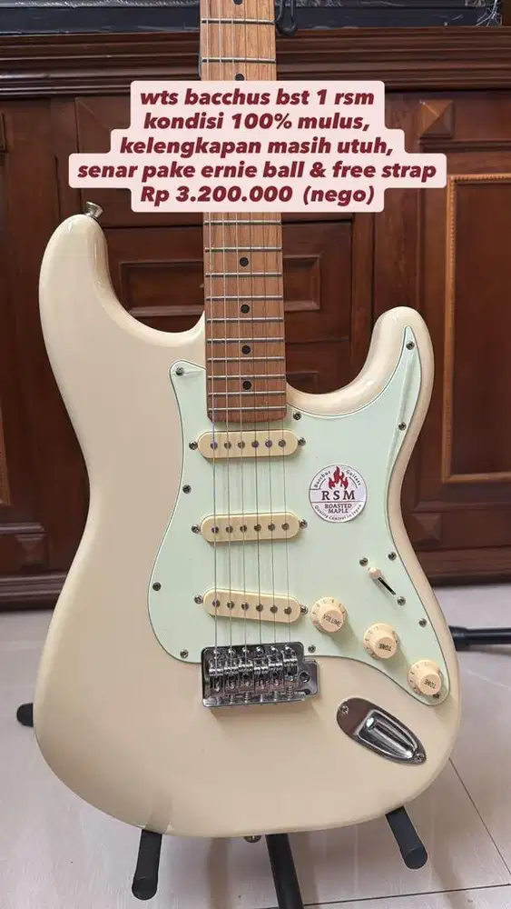 gitar elektrik bachuss