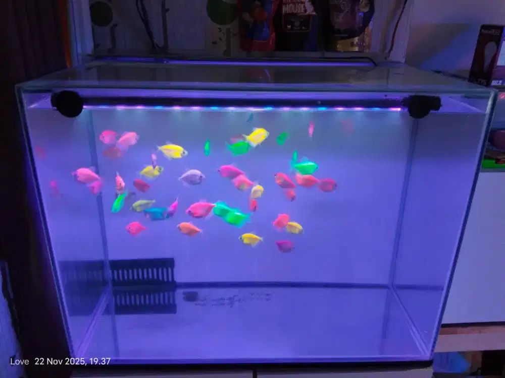 Aquarium glowfish fullset 60cm