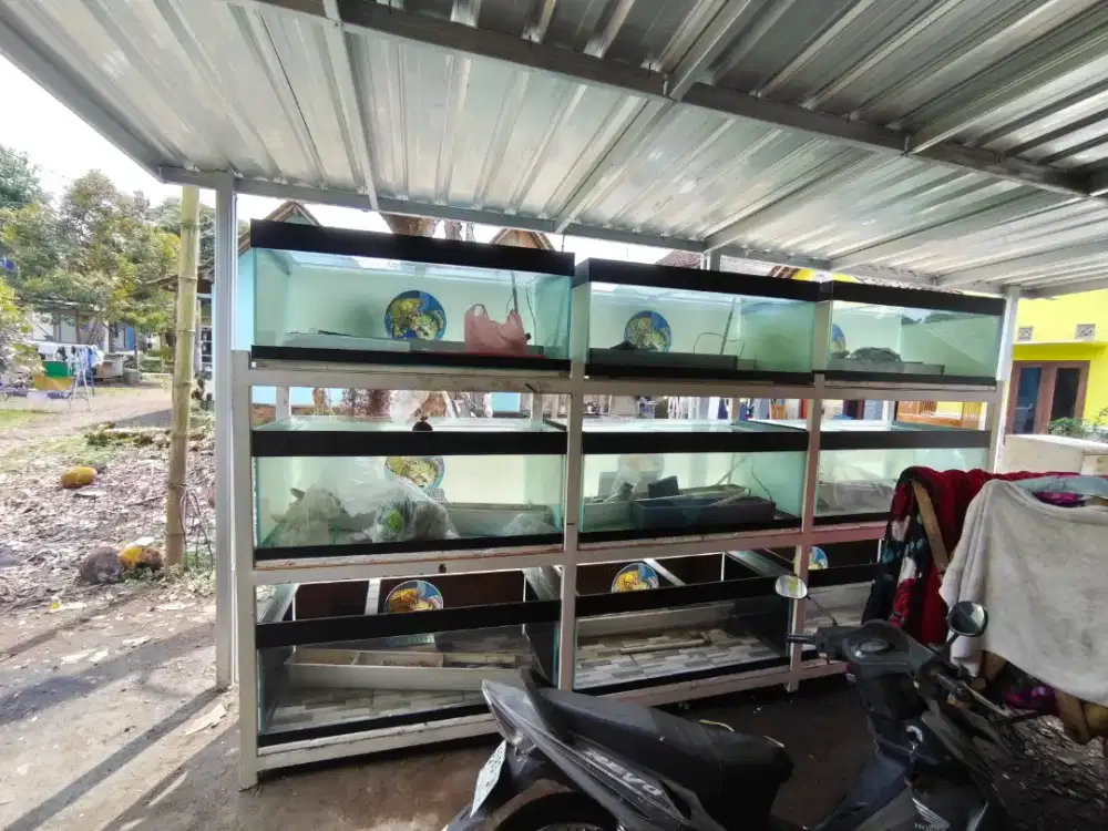 Aquarium set ikan