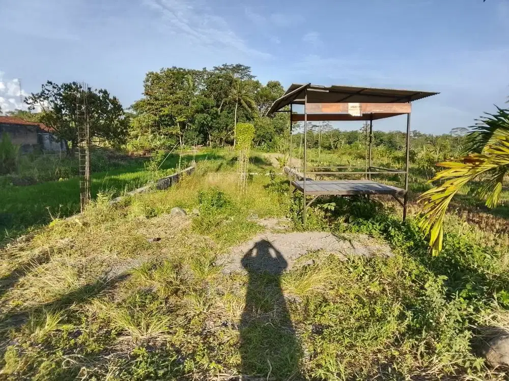 Jual tanah sawah shm