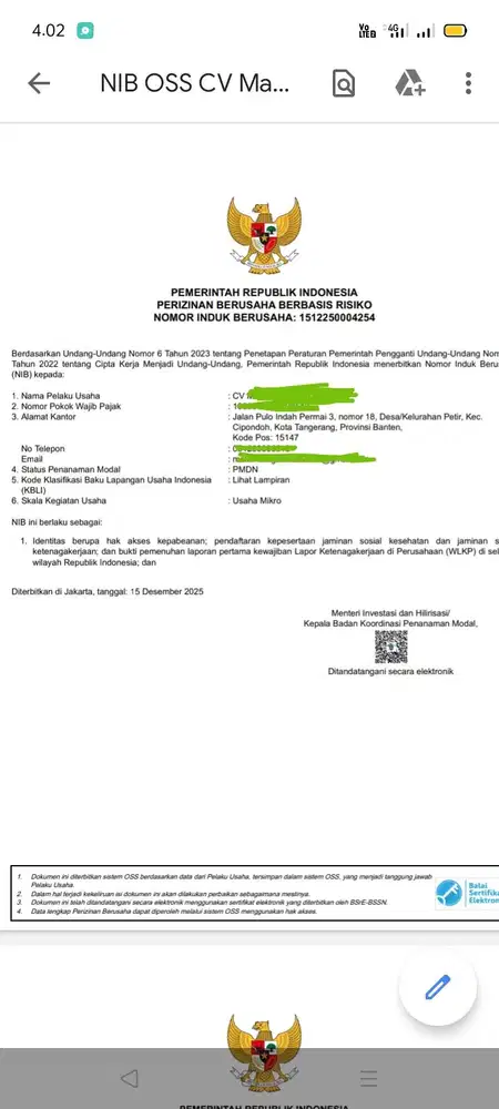 Jasa PT Perorangan dan NIB