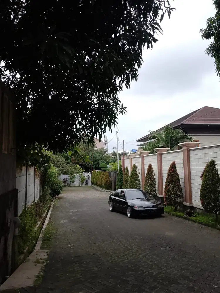 Honda Genio 1992 Bensin