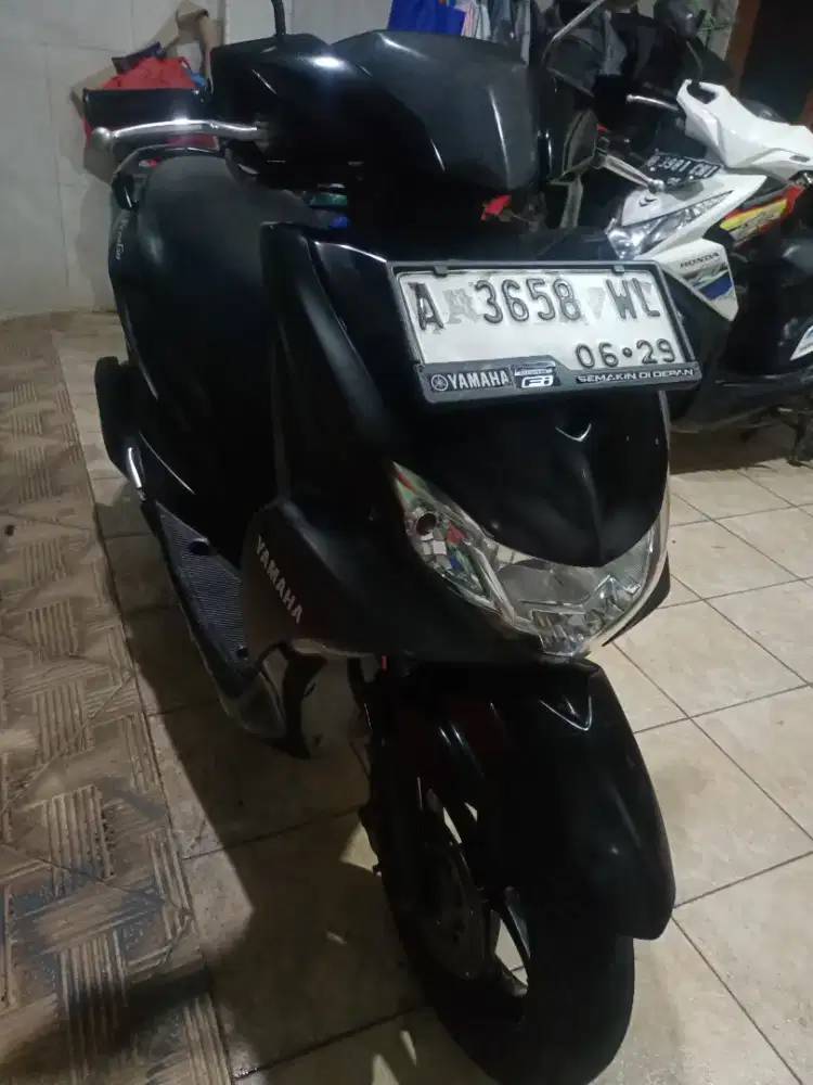 Freego 2019 pajak hidup