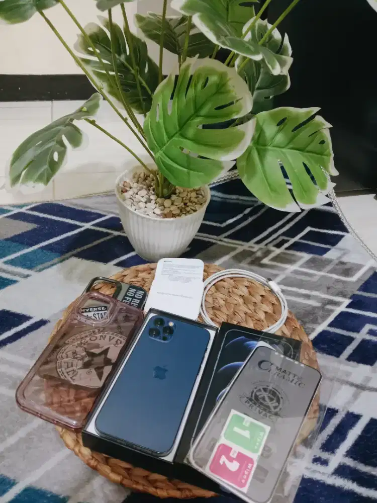 iPhone 12 Pro 256GB Inter Sierra Blue