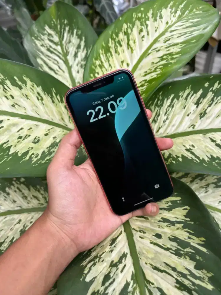 iPhone XR 256gb inter J/A