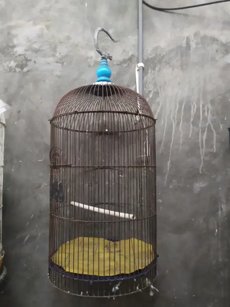 Sangkar lb & sangkar burcil