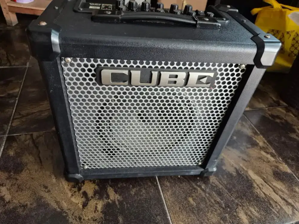 Roland cube 20gx