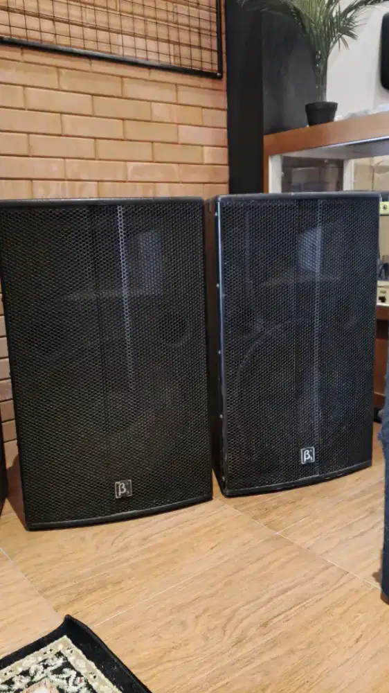 Spkr beta3 sigma 215