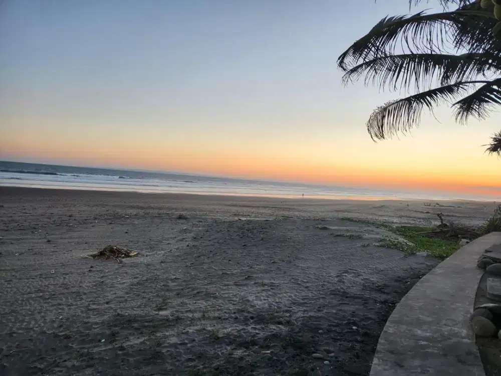 Di jual Tanah 38,25 are di jalan Pantai medewi surfing Bali