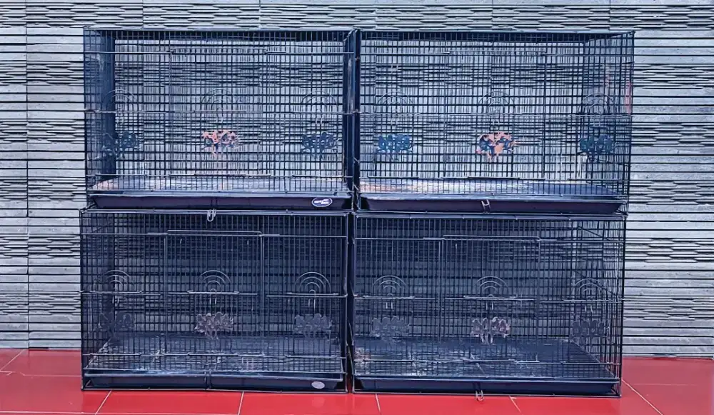 Kandang Kotak Lipat 60x40 Ruji Tebal - Second Good