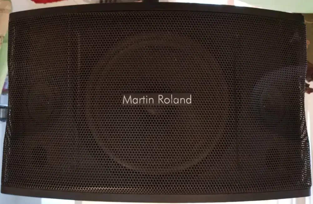 Speaker Martin Rolland