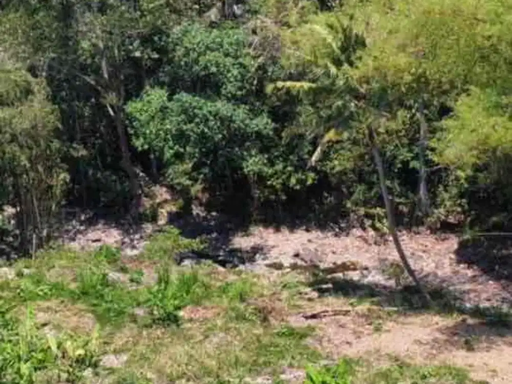 Tanah strategis dekat Pantai Nyanyi Tabanan