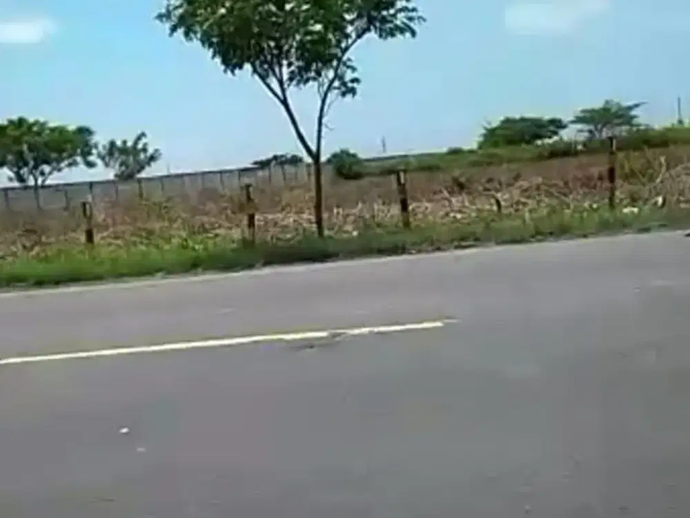 Tanah Lokasi Tuban Luas 4 Hektar Lebar 100, 900 Rb /M2