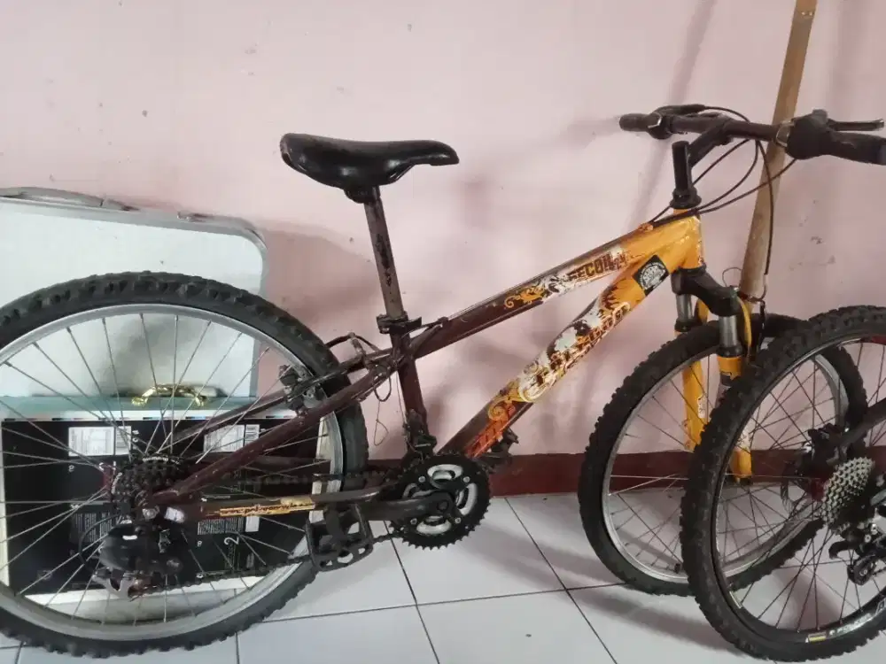 Sepeda mtb poligon recoil