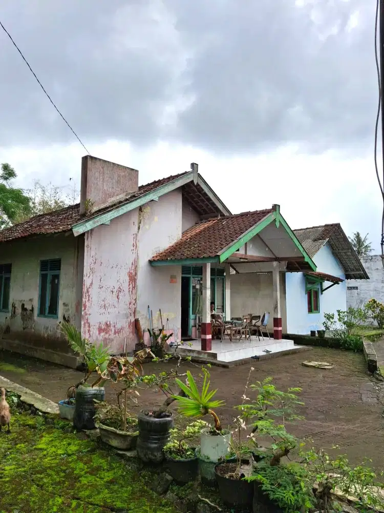 Rumah Murah dan Luas dekat Kampus UII Jalan Kaliurang
