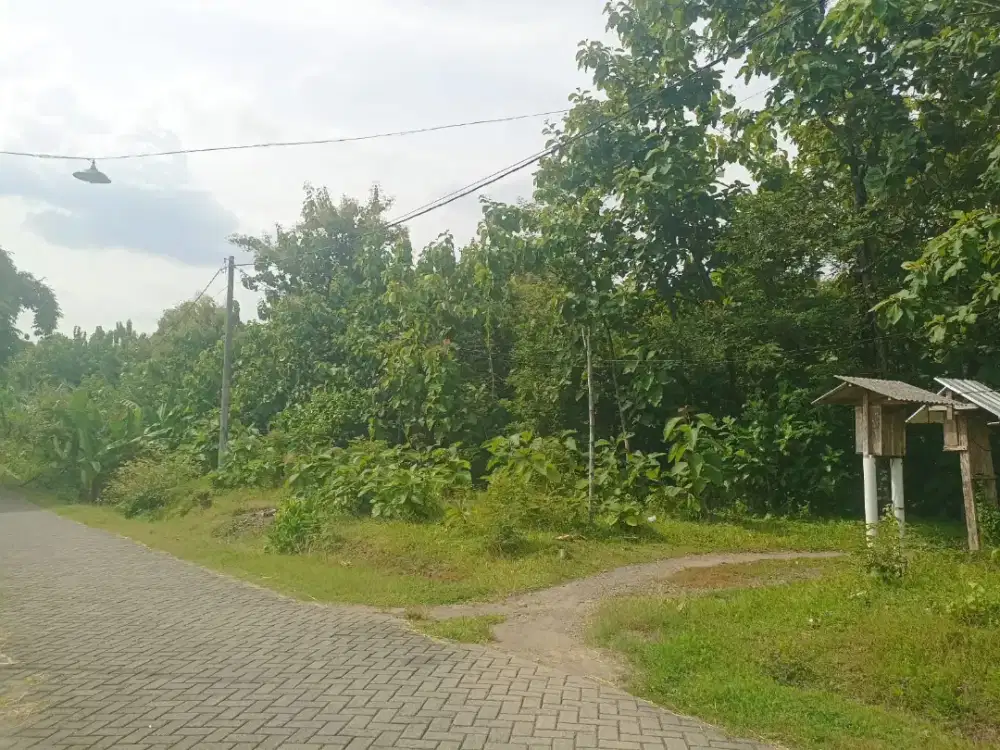 Tanah Murah Strategis Pemukiman