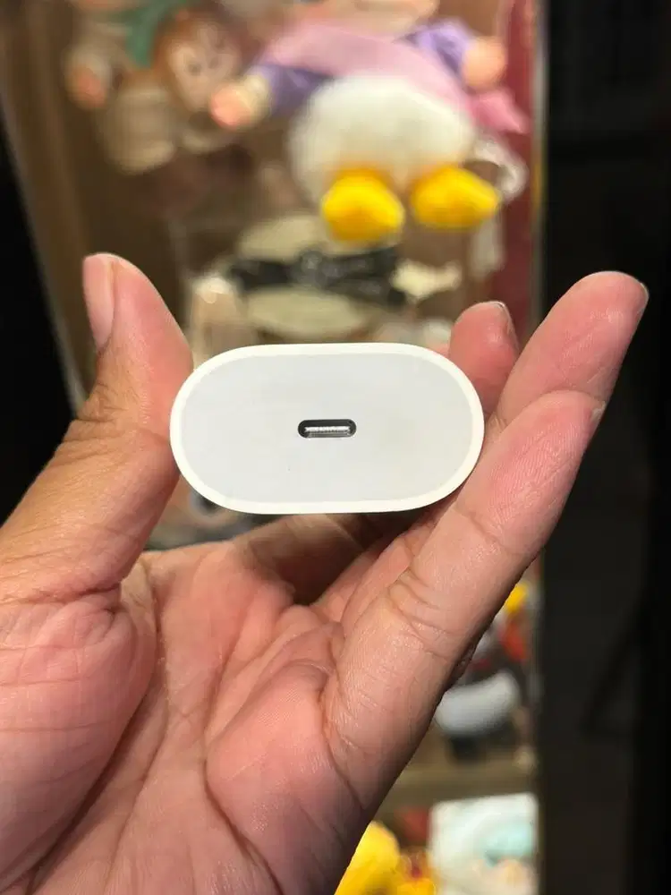 Chargeran Iphone Original 20watt