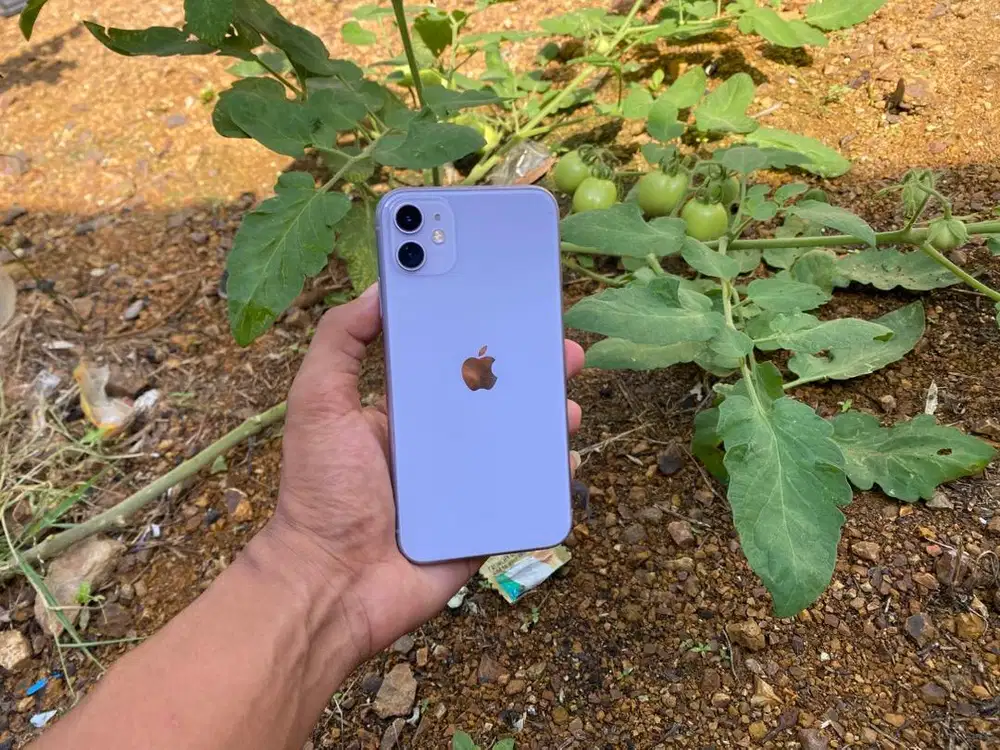 iPhone 11 64GB iBox Wifi Olny Bisa TT