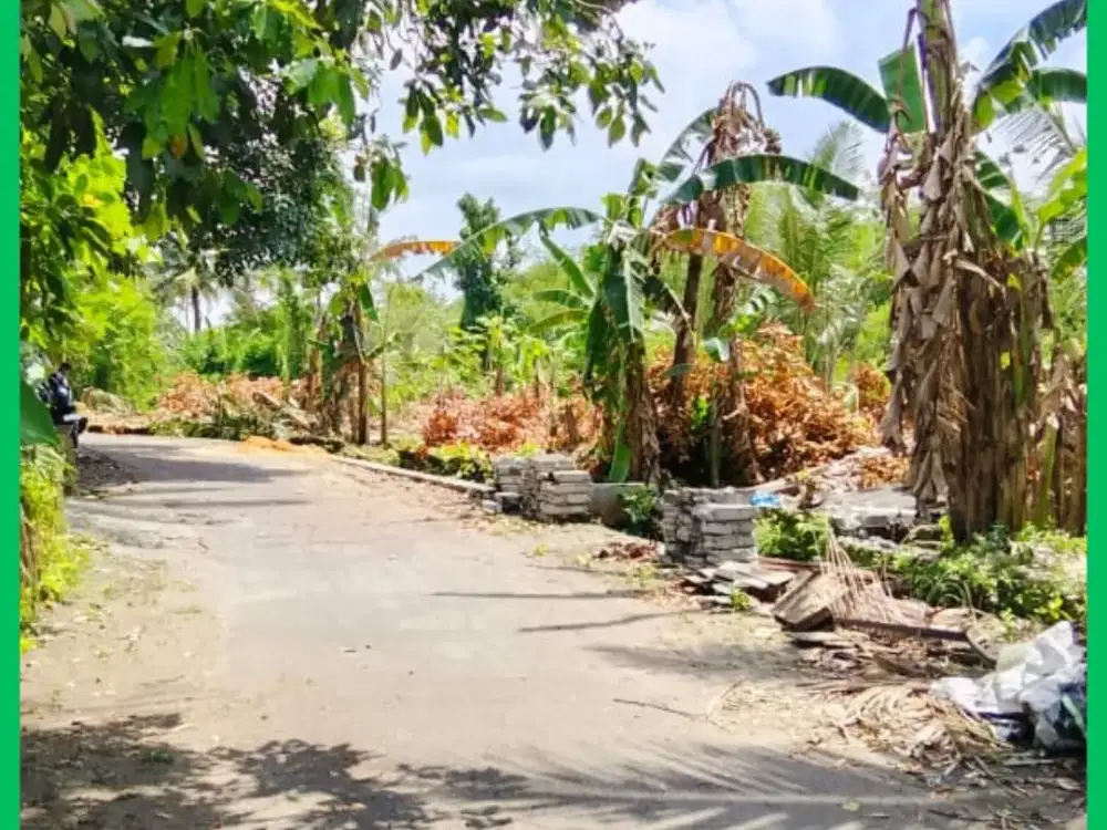 Tanah Jogja Barat Jl Palagan km14 2 Jutaan/mtr Cocok Invest