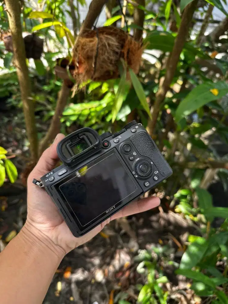 Sony a7 mark iii body only