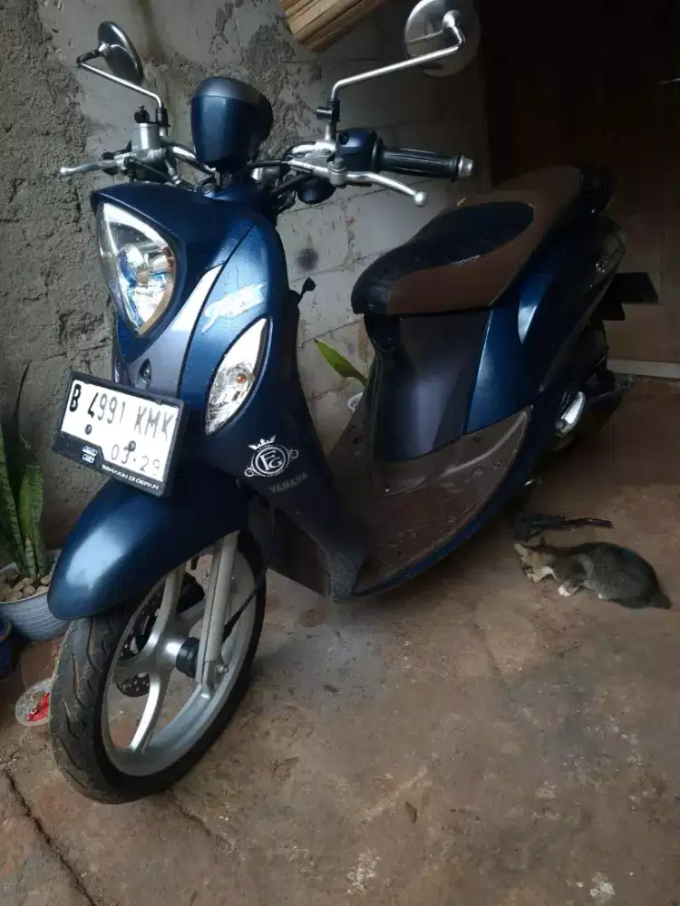 Fino grande 2019 lengkap hidup