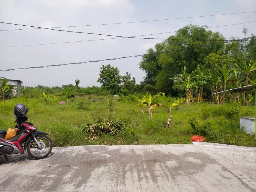 [Dijual Murah] Tanah 69m2 Daerah Gresik di Dalam Area Perumahan Warga