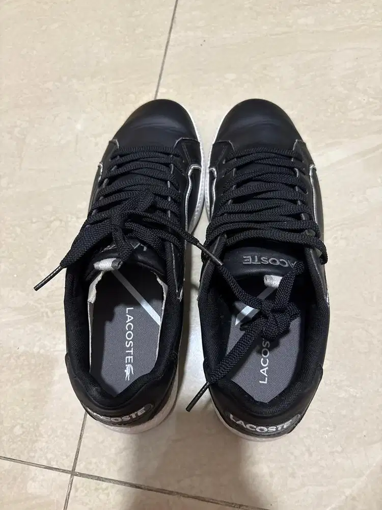 Sepatu pria ori lacoste