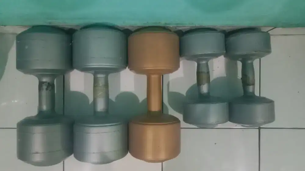 dumble 10 kg dan 5 kg