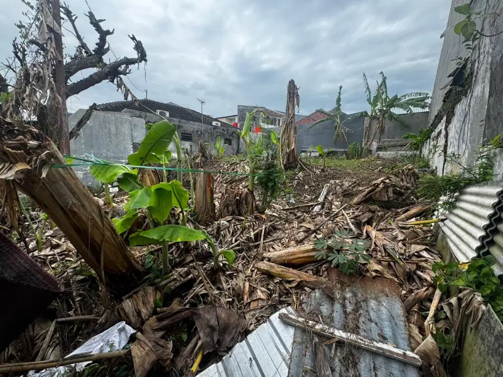 Dijual atau disewakan tanah kosong
