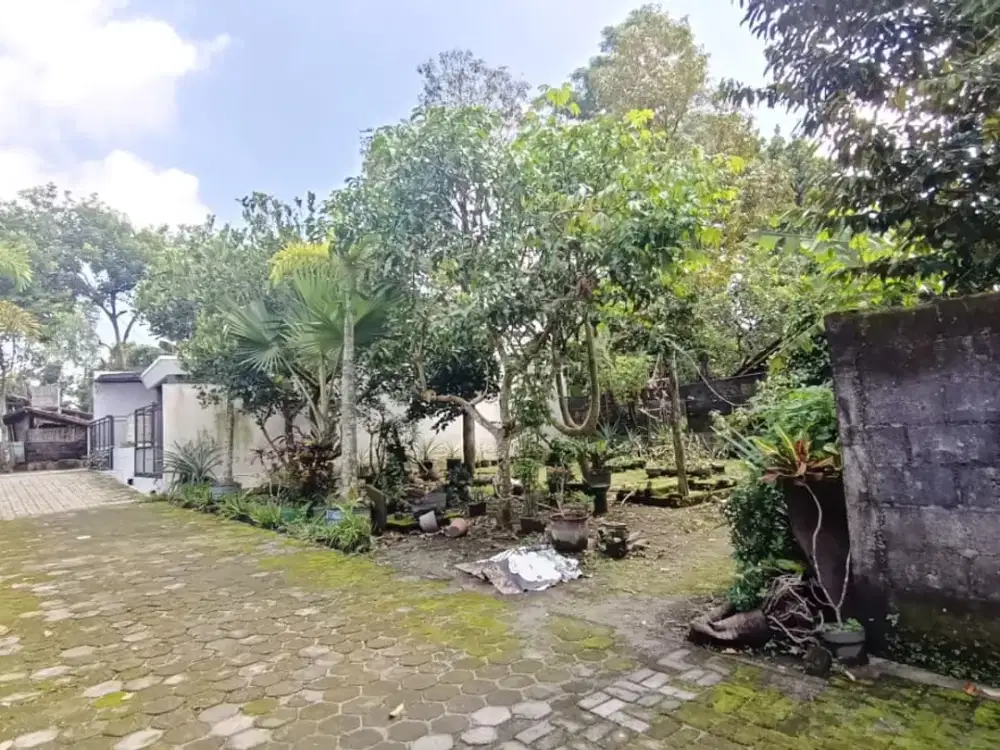 Tanah Murah Jogja, BUTUH UANG Segera! Beruntungkah Anda?