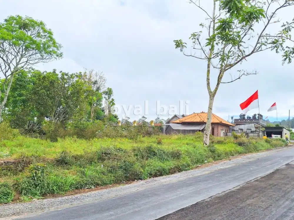 Tanah, 3.700m² Land with Strategic Location in Kintamani, Bali