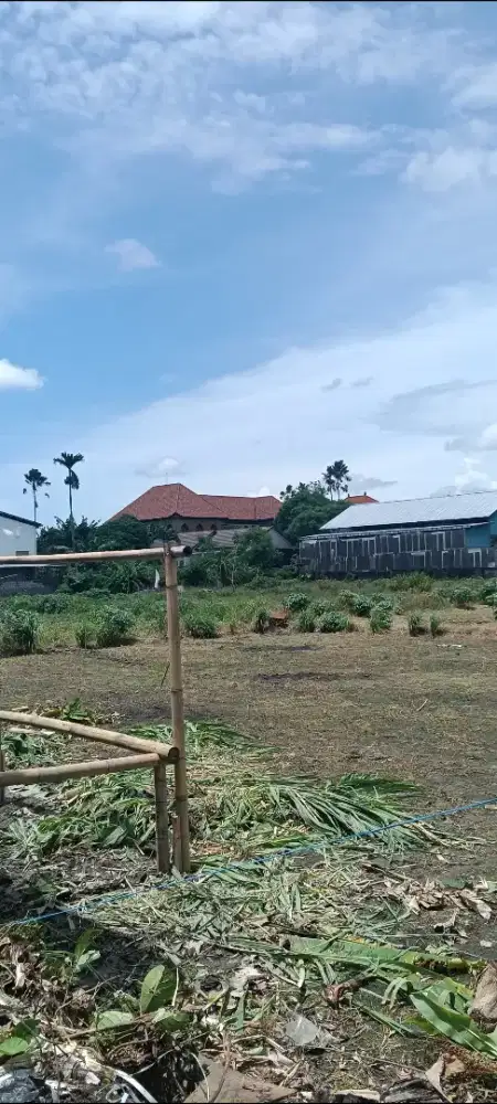 Disewakan tanah di sedap malam dekat renon dan sanur denpasar bali