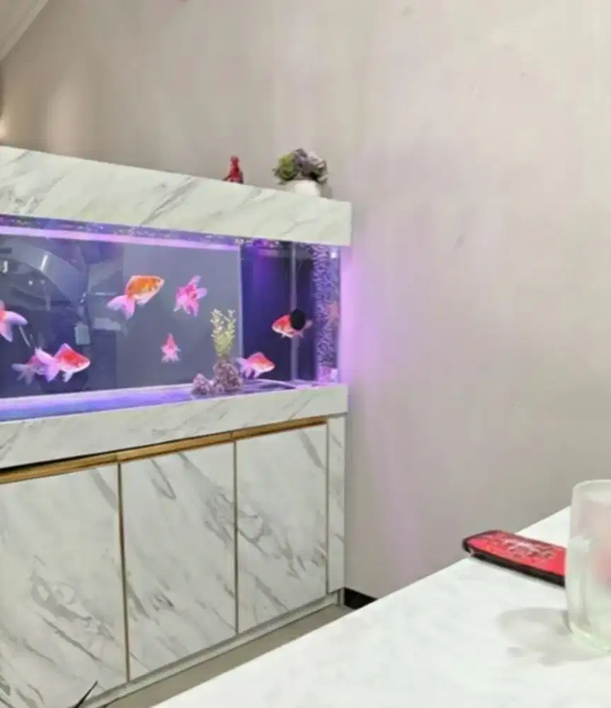 Aquarium custom