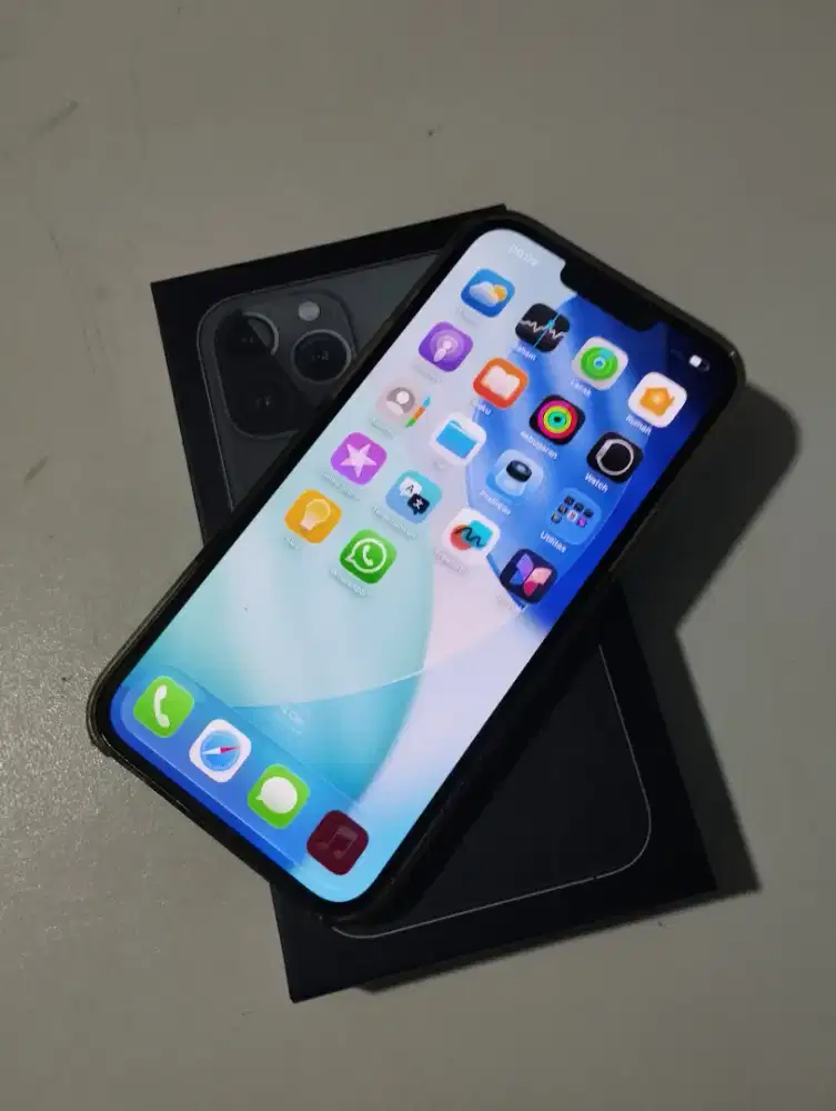 iPhone 13 pro max 128