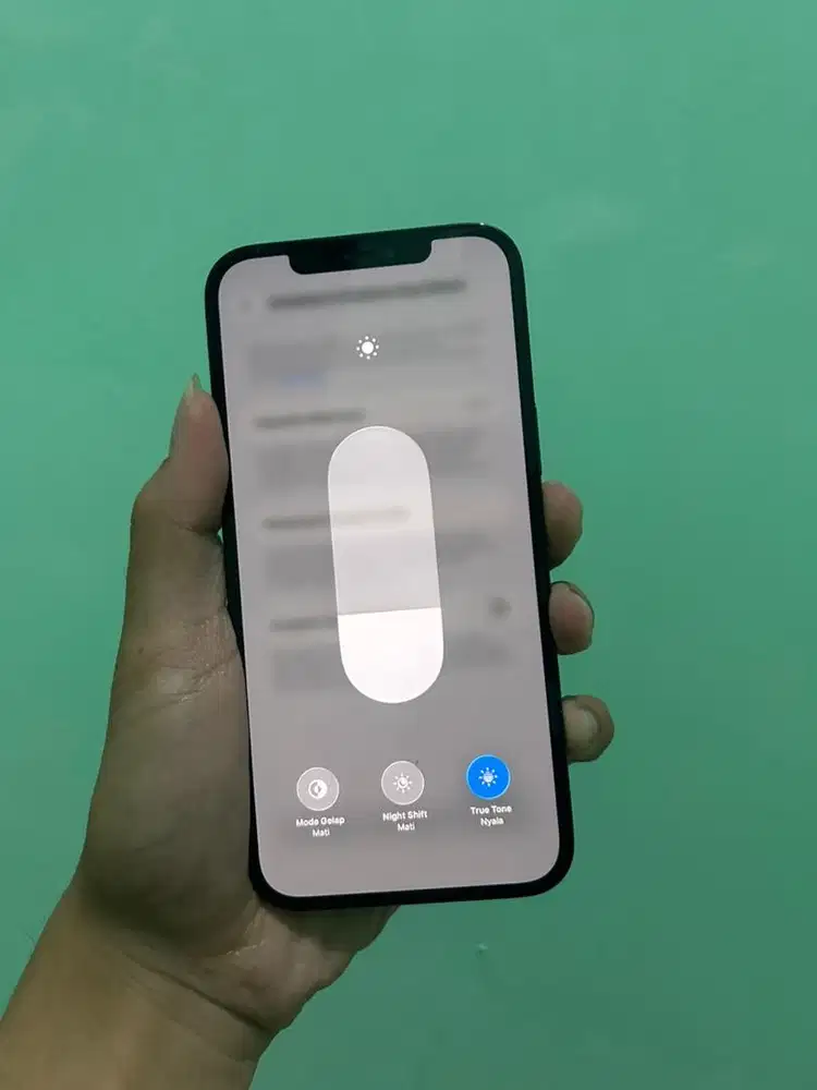 iphone 12 promax 256gb