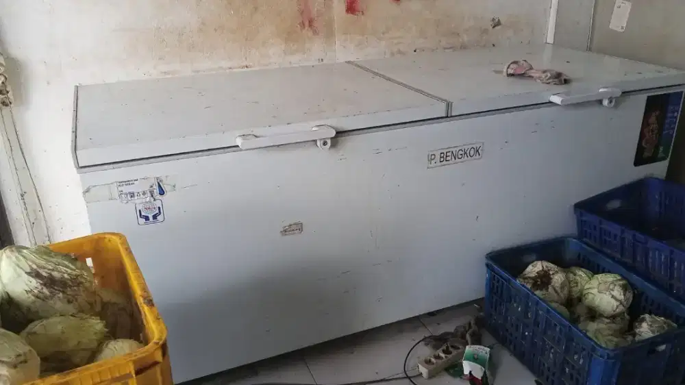 Freezer RSA CF 1200 L kondisi normal