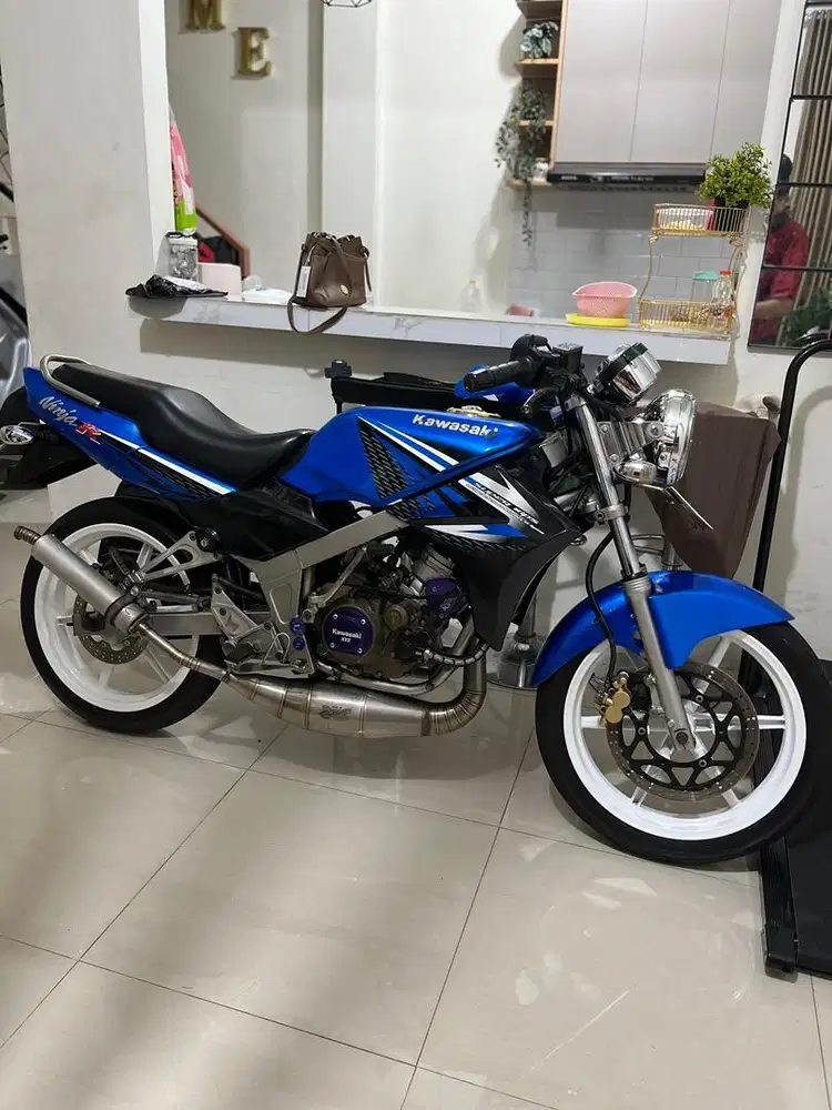 Ninja ss birunya cinta