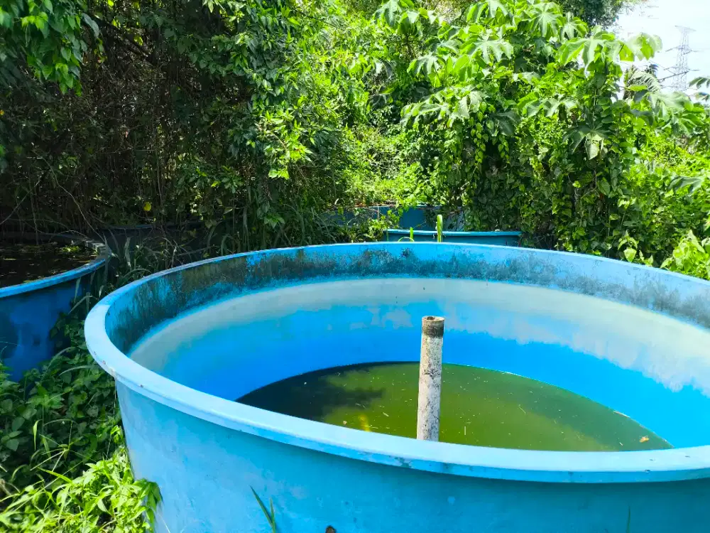 Jual borong 12 unit kolam ikan bekas ternak ikan