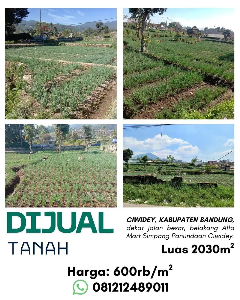Jual Tanah 2030 m2 di Ciwidey Bandung