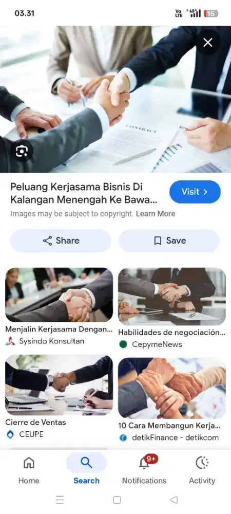 Peluang kerja sama usaha / dagang / jasa
